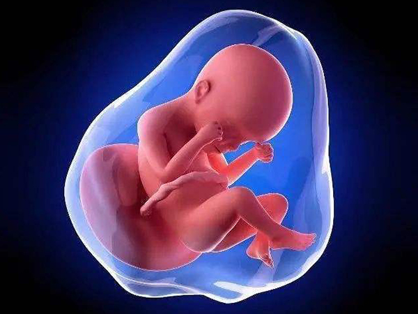 胎儿喜欢臀位是因为孕妇宫腔大羊水多吗？