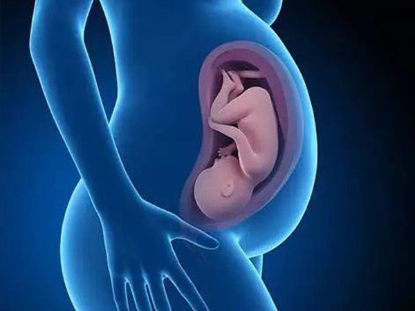 胎位不正受孕妇骨盆的影响