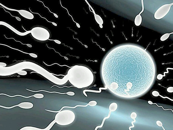 卵泡1.3×1.2cm怀孕属于正常情况