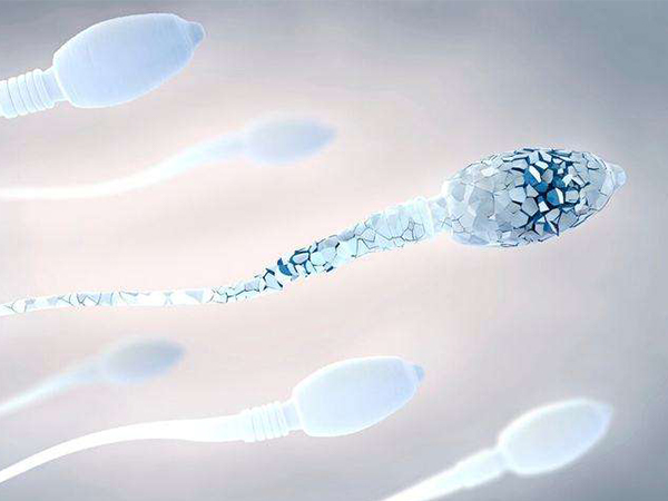 二代试管适用于精子异常的情况