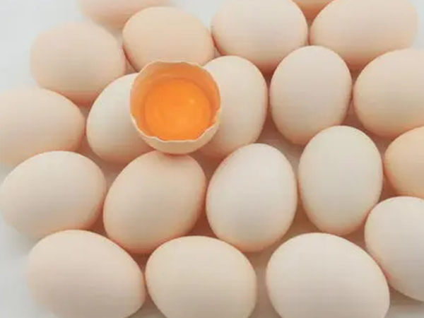 促排期间可以多吃鸡蛋