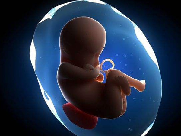 胎位与胎儿发育健康没有直接关联