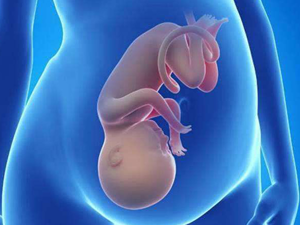 孕晚期头位胎动受胎儿手脚位置影响