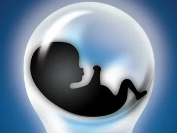 3天胚胎按发育情况可分4个等级