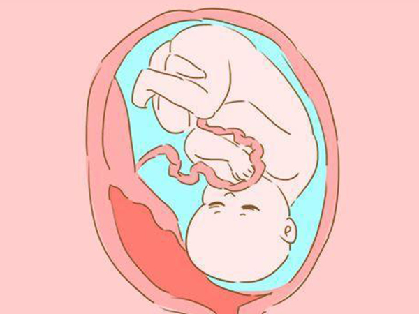 孕妇胎位不正可以做膝胸卧位纠正