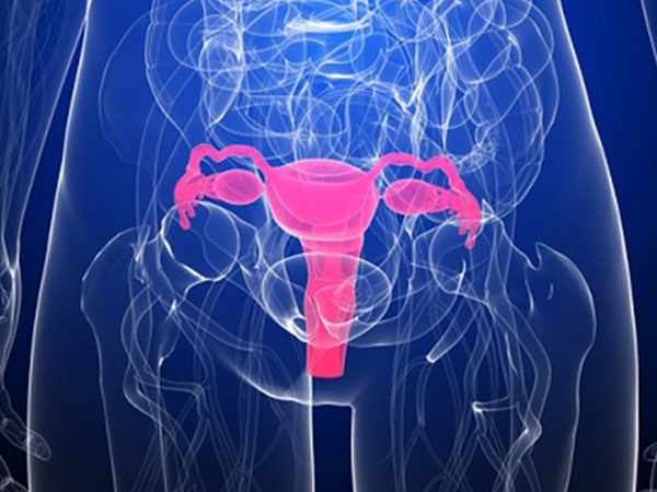 宫腔灌注可以提高怀孕的几率