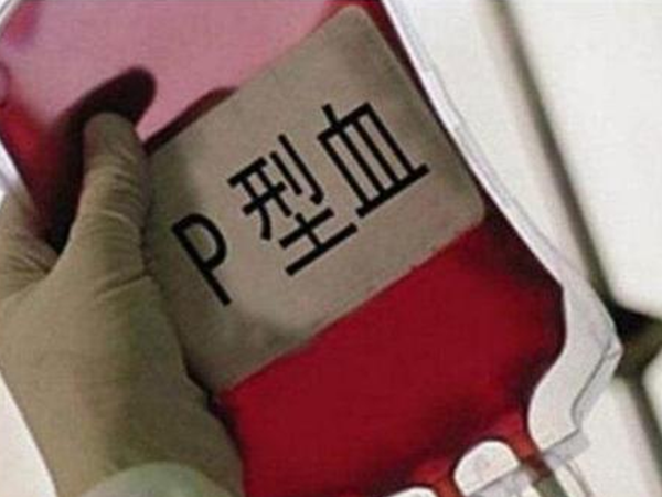 P血型在中国分布概率更是低于1%