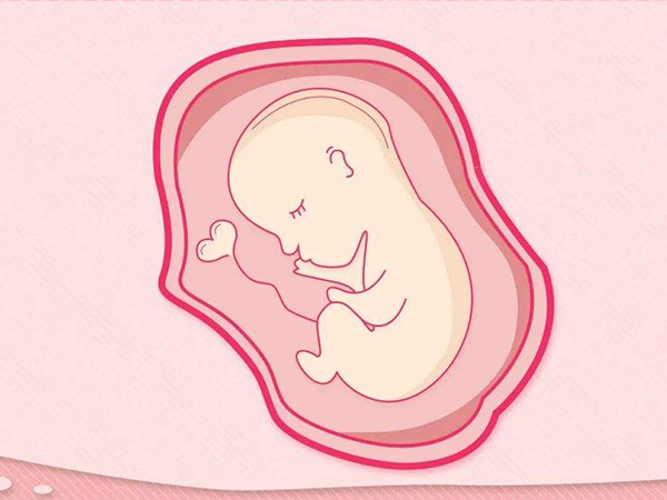 孕晚期胎位不正孕妇会感到辛苦
