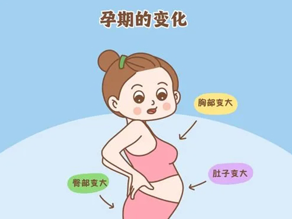 孕期乳房变大生女孩