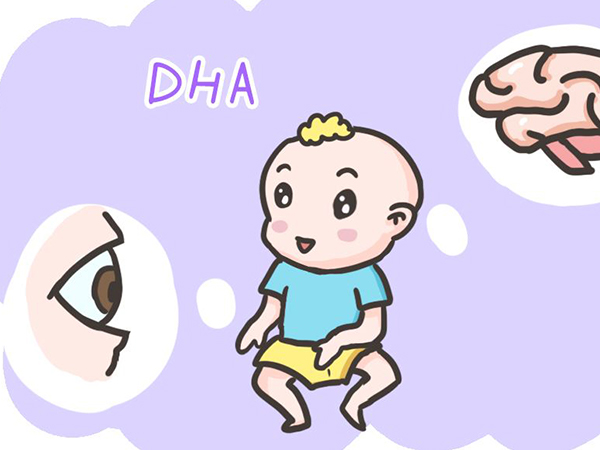 dha能促进宝宝发育