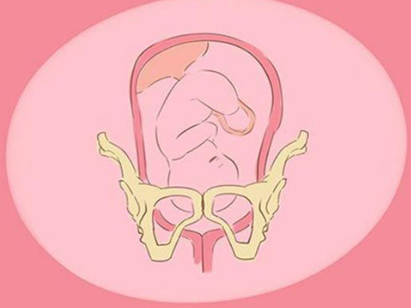 全入盆的肚子像一个柚子方法/步骤女性在怀孕以后最最期待的就是宝宝
