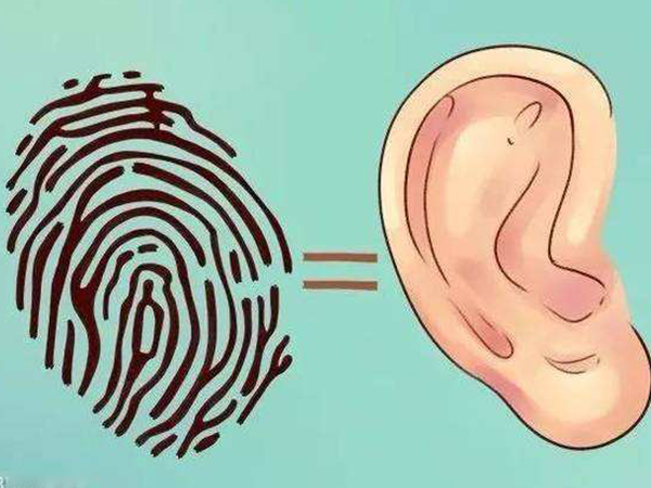 大耳朵的父母生的孩子也是大耳朵