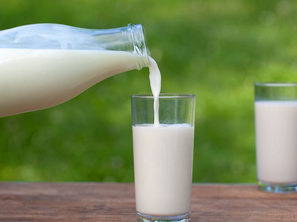 孕晚期喝牛奶对胎儿生长有好处