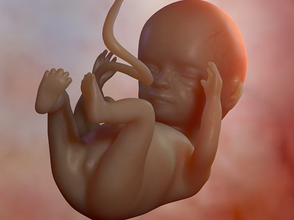 孕酮值能表示胎儿的发育情况