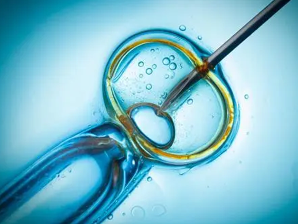 人工授精一般放2-3次精子