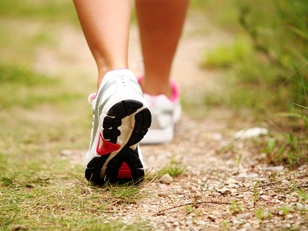 散步可以提高基础代谢率