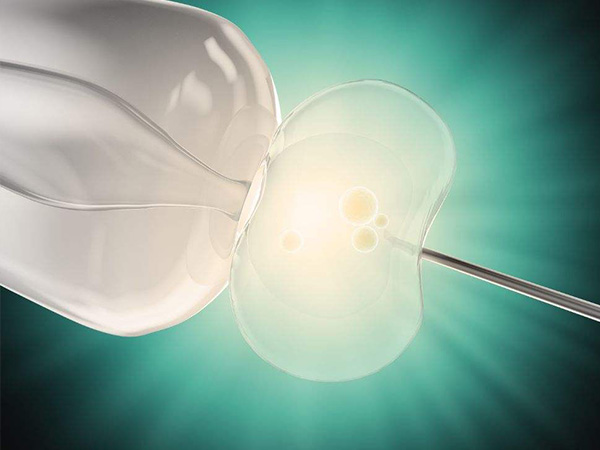 两个胚胎是移植龙凤胎的必要条件