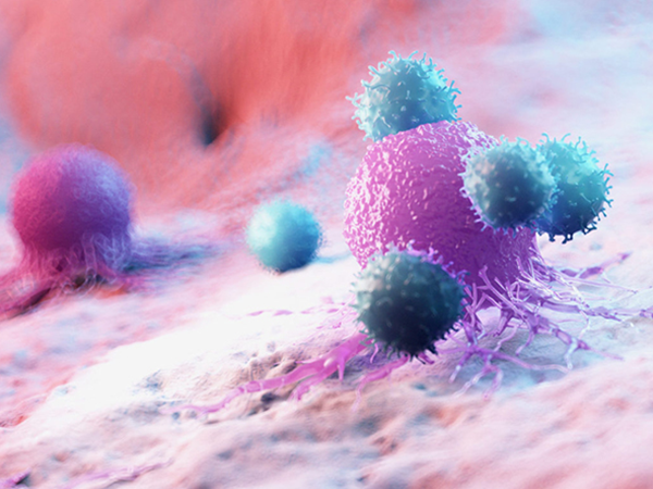 NK细胞对肿瘤细胞有溶解作用