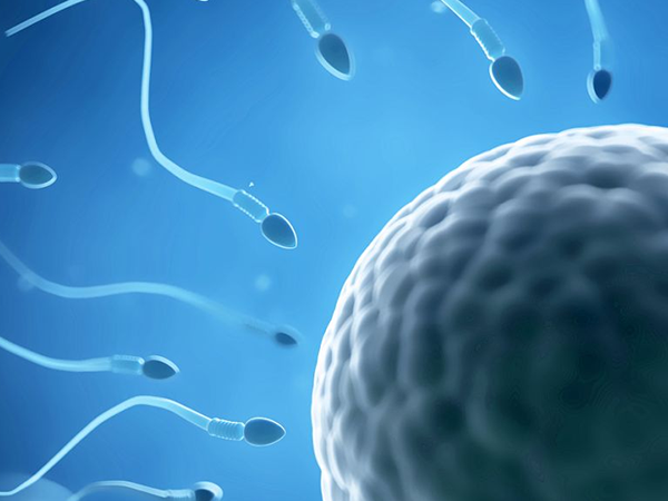 一般试管处理精子有三种方法