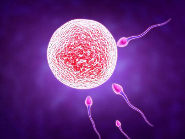 促排卵能促进怀孕