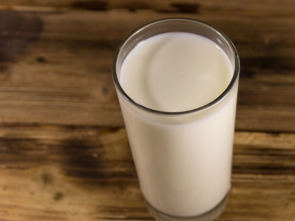 牛奶中乳糖的含量较为丰富