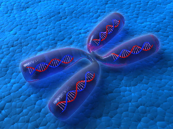 染色体数目异常适合做三代试管