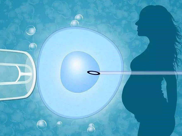 鲜胚移植的成功率相对较高