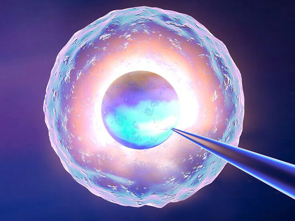 一代试管男胚的发育速度快于女孩