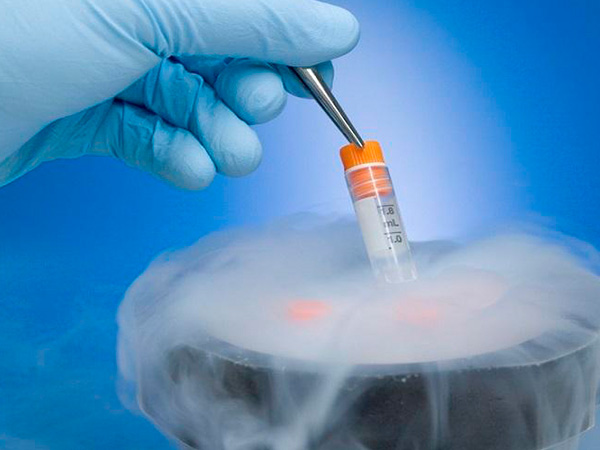 几千元通常能冷冻胚胎一年