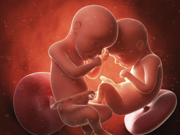 双胞胎会增加孕期风险