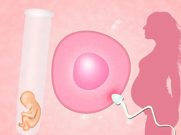借卵生子成功率和宫腔环境有关