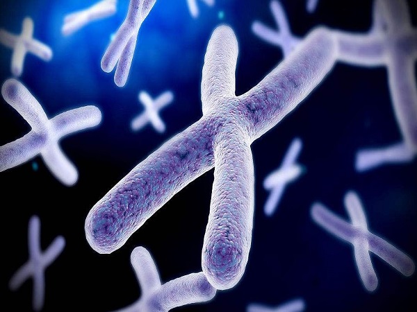 精子DNA碎片正常也需要查染色体