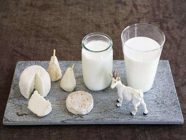 羊初乳奶粉营养价值高