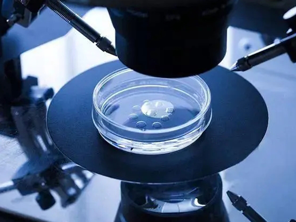 胚胎检测个数会影响具体收费