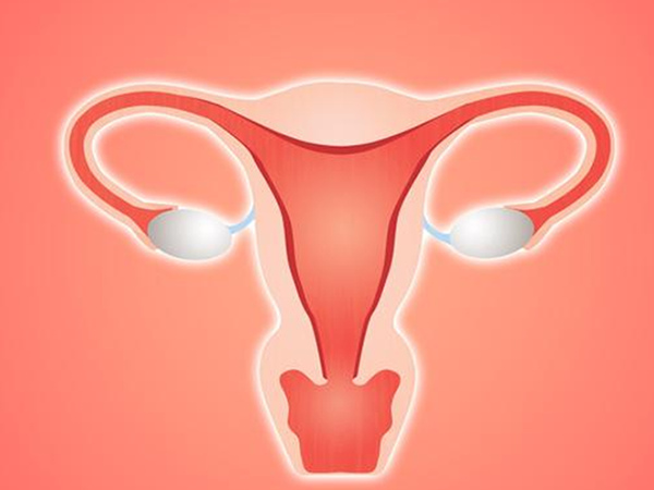 卵巢功能低下就不能进行鲜胚移植
