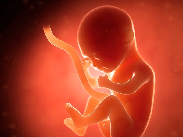 孕妇用烤火器对胎儿有影响