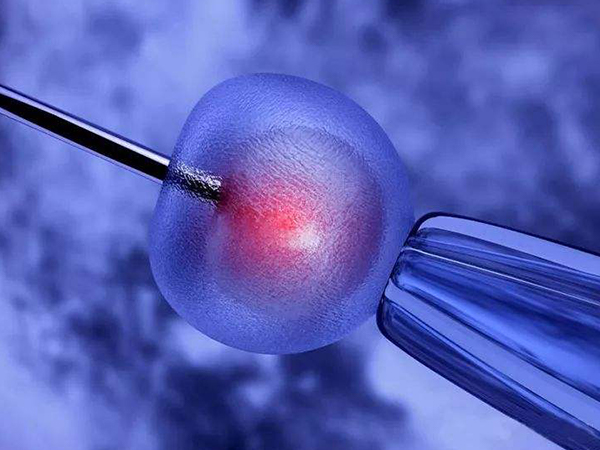 胚胎等级影响移植成功率