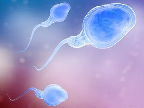 xy精子分离法可以提高生男孩几率