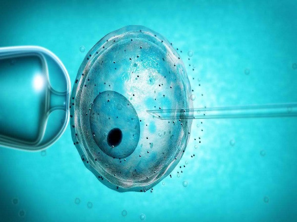 3cb囊胚移植成功比较低