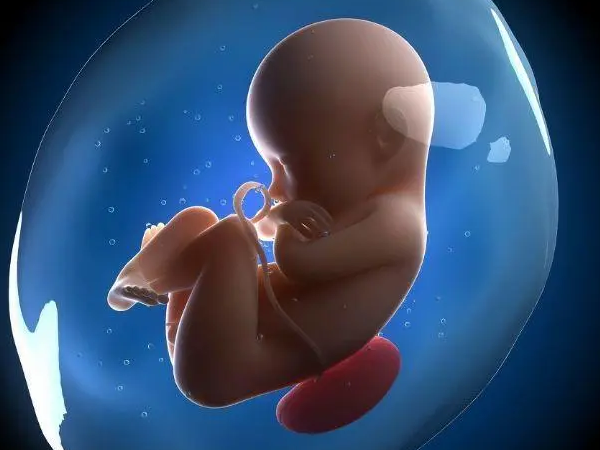 双顶径大小能判断胎儿发育情况