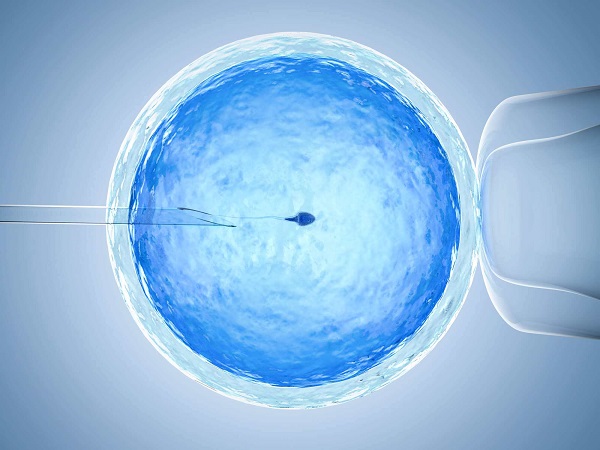 胚胎的保存方式因人而异