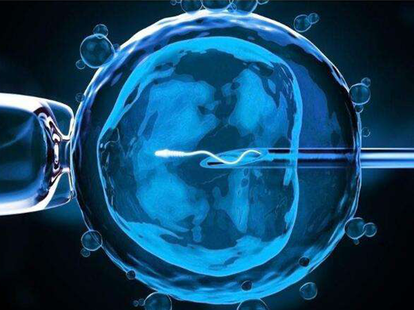 三代试管移植一个囊胚可防止多胎妊娠