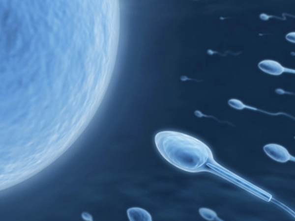 精子dna碎片检测能知道精子质量