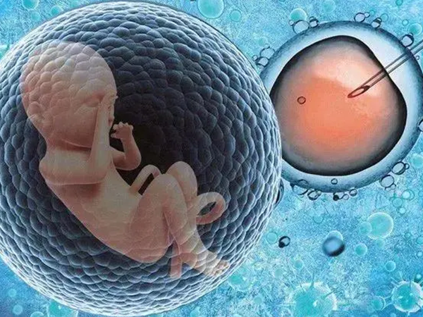 供卵试管婴儿可能在容貌上不像母亲
