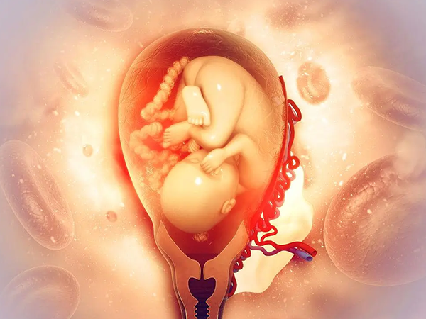 试管怀孕后停药时间要看胎儿发育情况