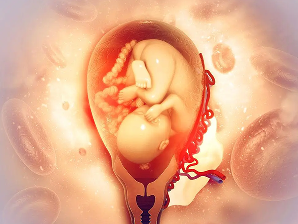三代试管在胚胎移植前会检测胚胎