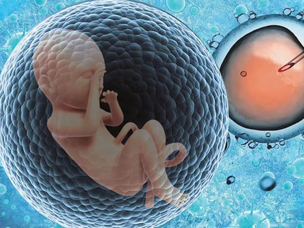 胚胎移植成功率受多种因素影响
