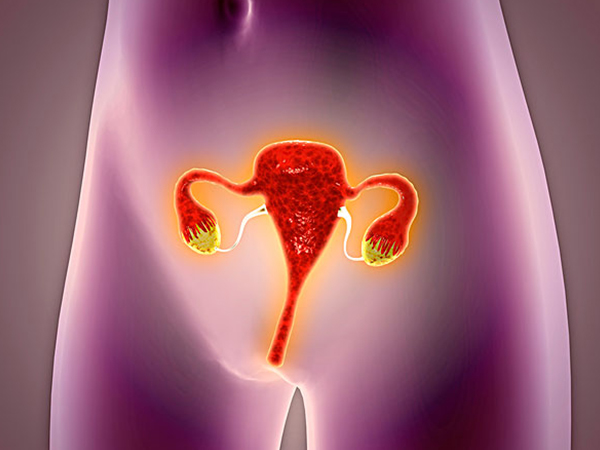 卵巢功能退化会导致窦卵泡减少
