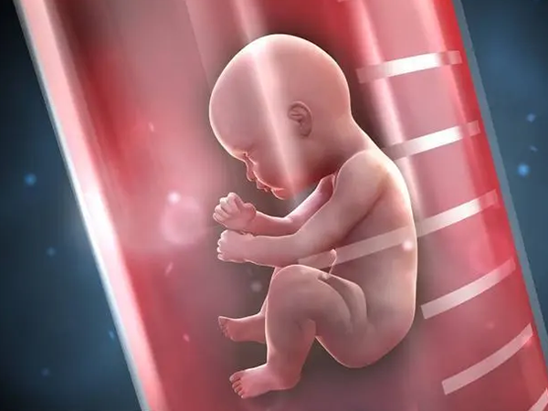 三代试管能筛选健康的胚胎移植