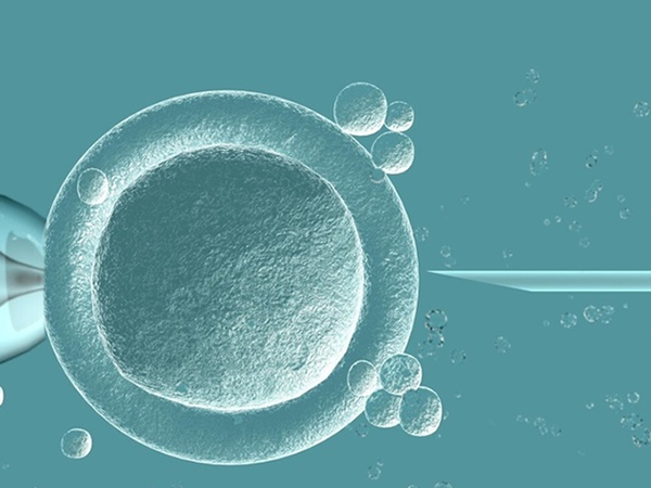 嵌合体胚胎部分存在染色体异常情况